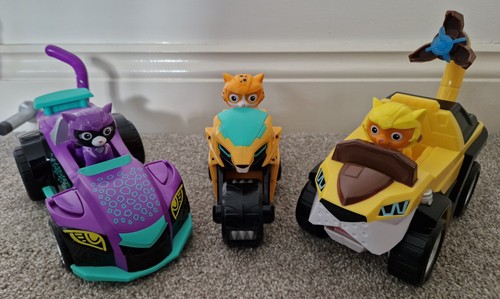 Paw patrol cat - cat, set