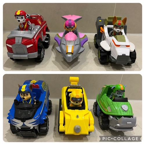 Paw patrol jungle - jungle, pups
