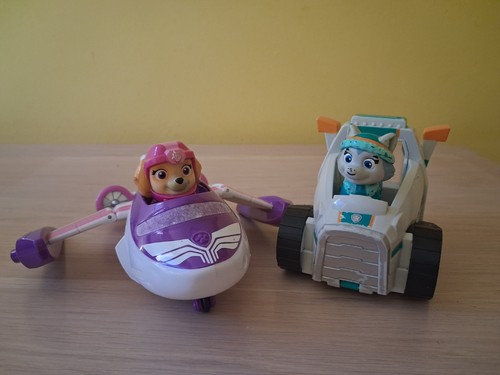 Paw patrol skye - patrol, everest