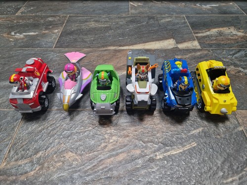 Paw patrol jungle - patrol,