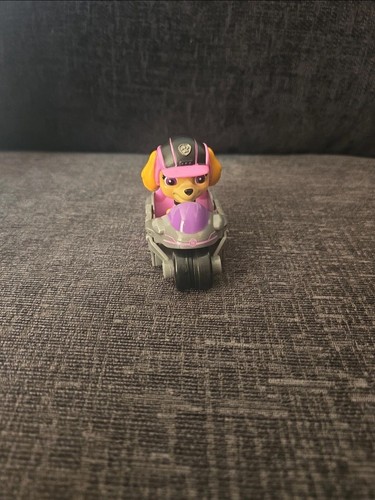Paw patrol skye - patrol, feature