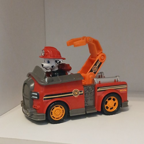 Paw patrol mission - mission,