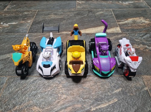 Paw patrol cat - paw, pack
