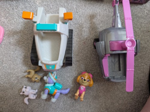 Paw patrol skye - skye, everest
