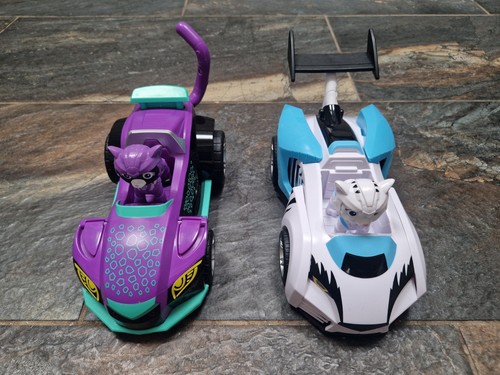 Paw patrol cat - cat, set